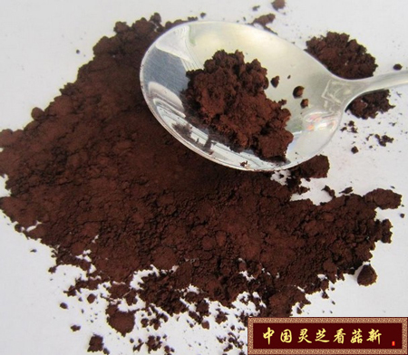 破壁靈芝孢子粉