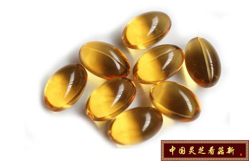 靈芝孢子油更好嗎？